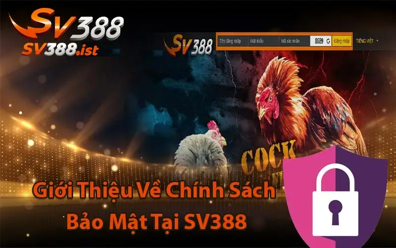 Chính sách bảo mật Sv388