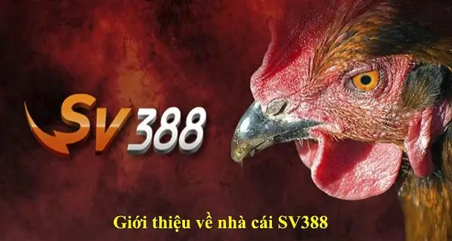 Giới thiệu nhà cái Sv388