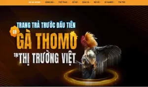 Lợi ích khi tham gia đá gà Thomo tại Sv388